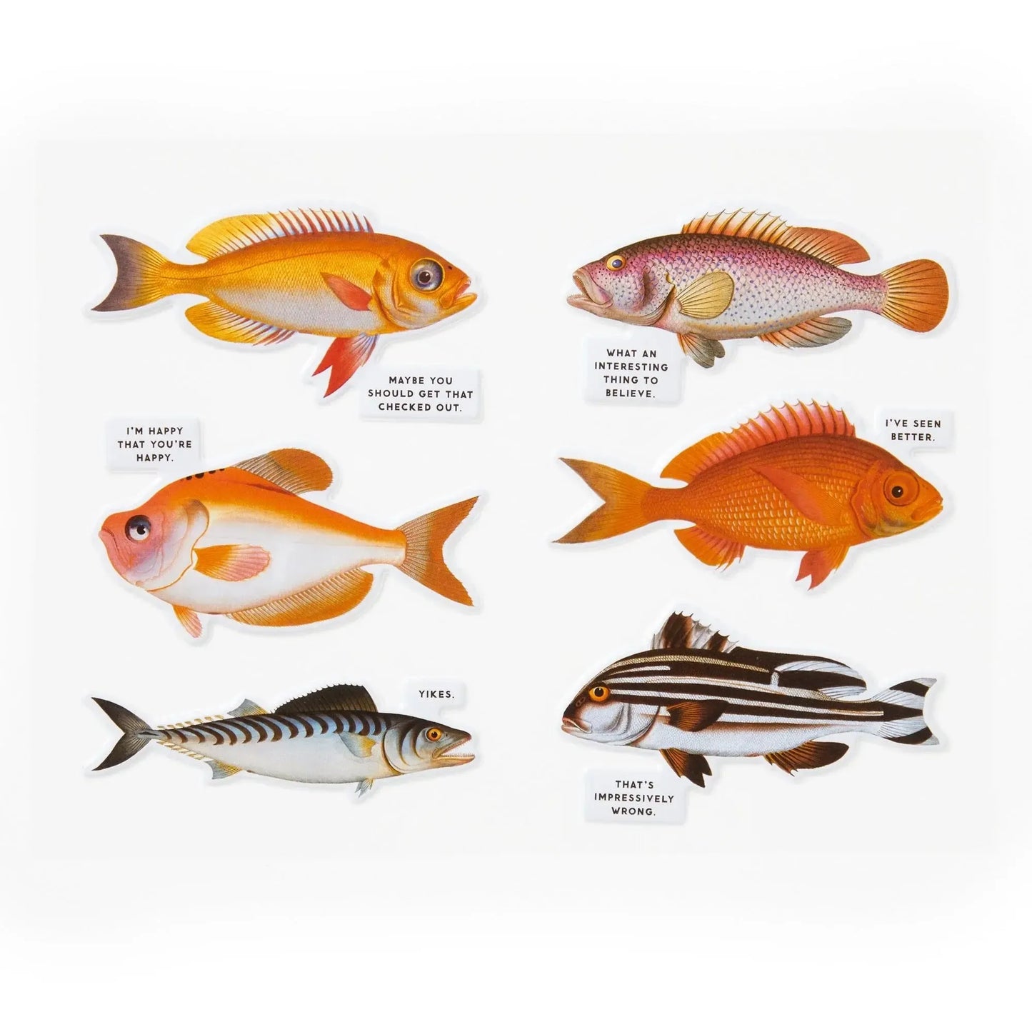 Chronicle - Judgy Fish 1000 Piece Puzzle (Brass Monkey)